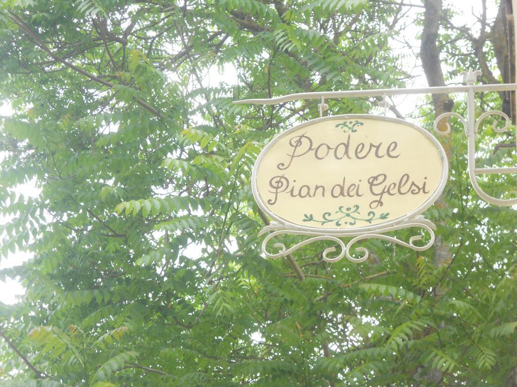 Podere Pian Dei Gelsi Βολτέρρα Εξωτερικό φωτογραφία